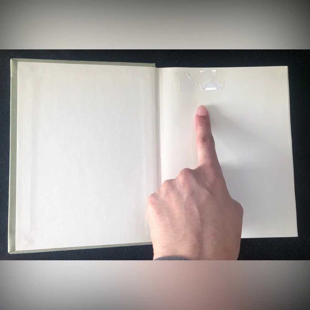 Nature’s Quiet Beauty Bring Peace Blank Journal Green Hallmark IMPERFECTION